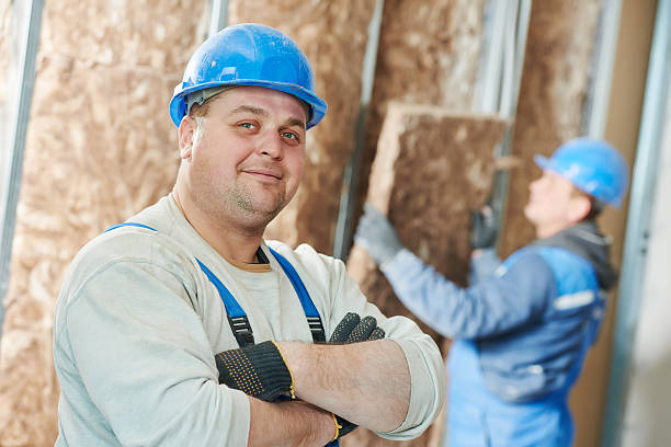 Best Insulation Materials and Products in Hawaiian Beaches, HI