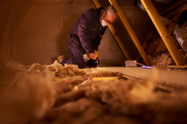 Best Commercial Insulation in Hawaiian Beaches, HI